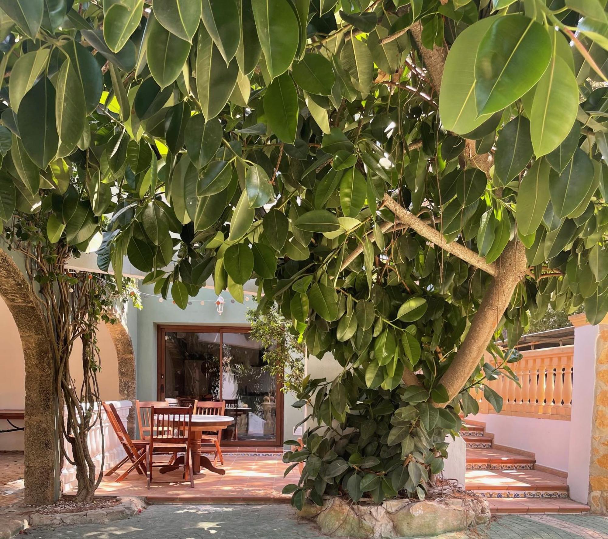 La Posada Paradiso ฮาเวอา ภายนอก รูปภาพ